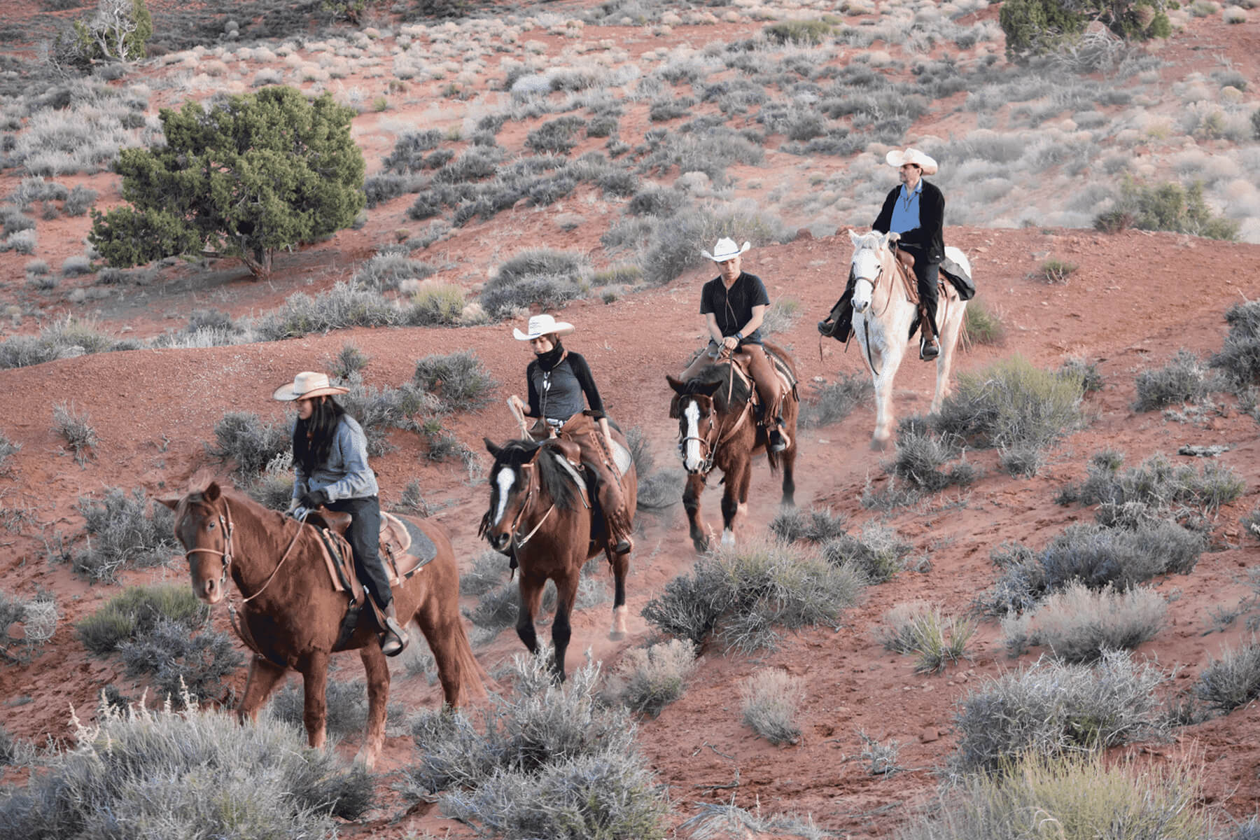 navajo nation guided tours
