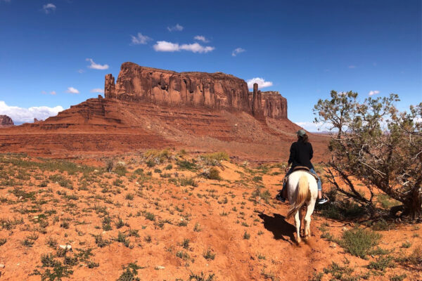 1 Hour Horseback Tour