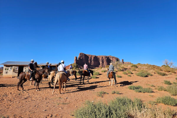 2 Hour Horseback Tour